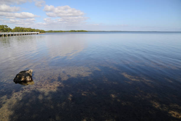 istock Ocean view at Biscayne National Park 1195512324
