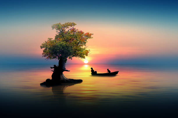 Art of nature