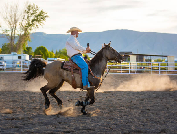 istock Cowboy warming up before event at a rodeo arena 1195515906