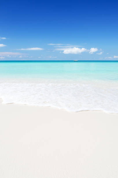 istock Turquoise sea water and beach sand with blue sky background 1195521340