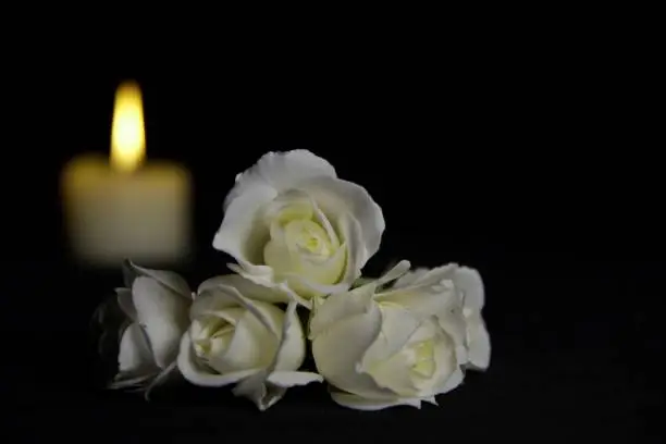 Photo of Beautiful White roses with a burning candle on the dark background. Funeral flower and candle on table against black background with copy space.