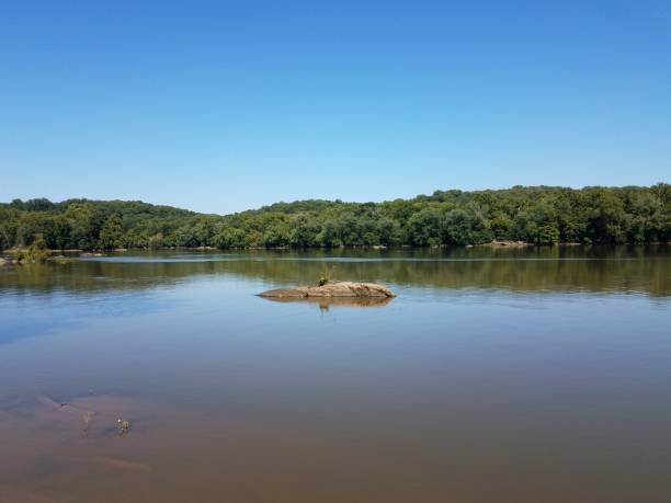 istock river or lake with rocks or boulder and trees 1195522010