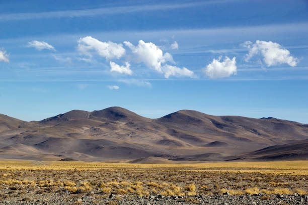 istock Landscape in the Puna de Atacama, Argentina 1195522456