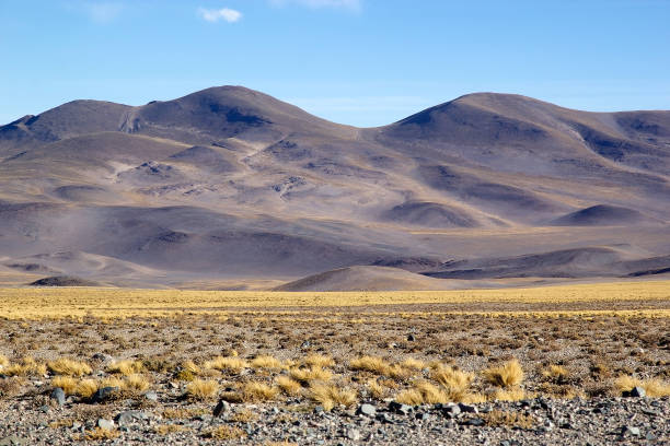 istock Landscape in the Puna de Atacama, Argentina 1195522464