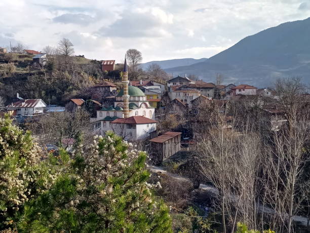 istock Small mountain village with mosque at sakarya turkey 1195523124