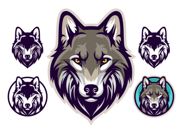 wolf kopf emblem - tierkopf stock-grafiken, -clipart, -cartoons und -symbole