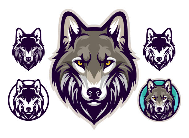 illustrazioni stock, clip art, cartoni animati e icone di tendenza di emblema testa lupo - lupo
