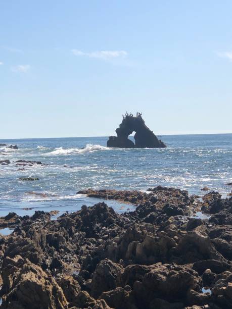 istock Crown the Sea, California 1195523387