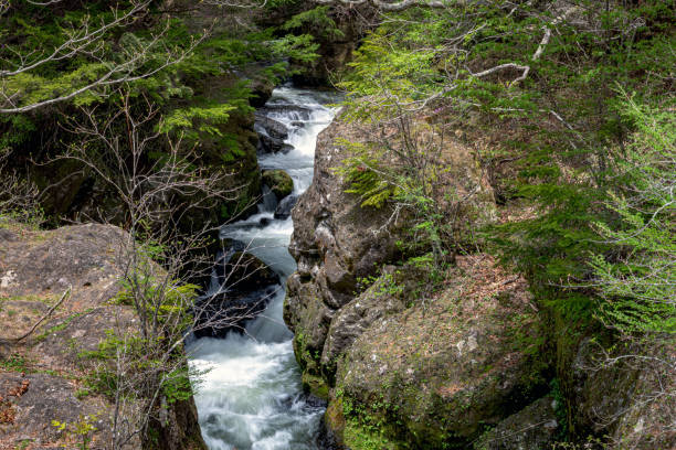 chutes ryuzu - nikko asia japan natural landmark photos et images de collection