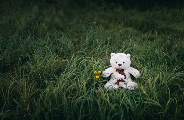 A white teddy bear is sitting on the green grass.