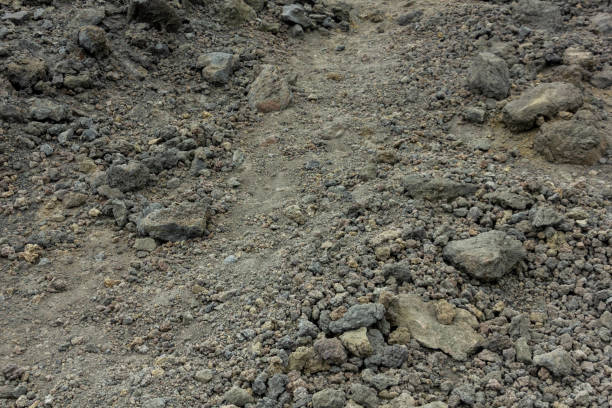 istock Path among the stones of Lava 1195533029