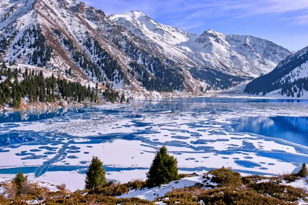 Photo of Mountains Ice Forest Water Winter Frozen Lake