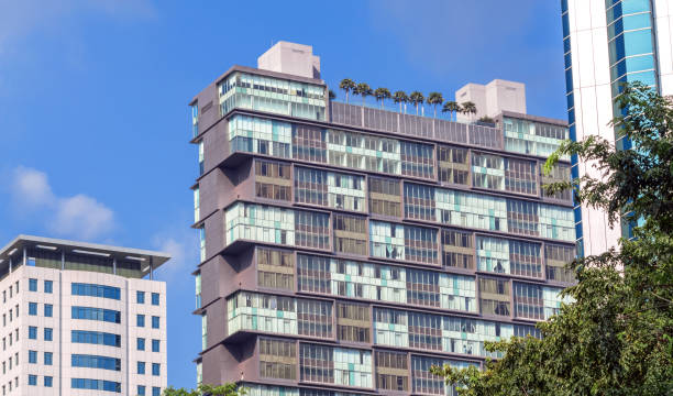 istock Roof Relaxation Modern City 1195537211