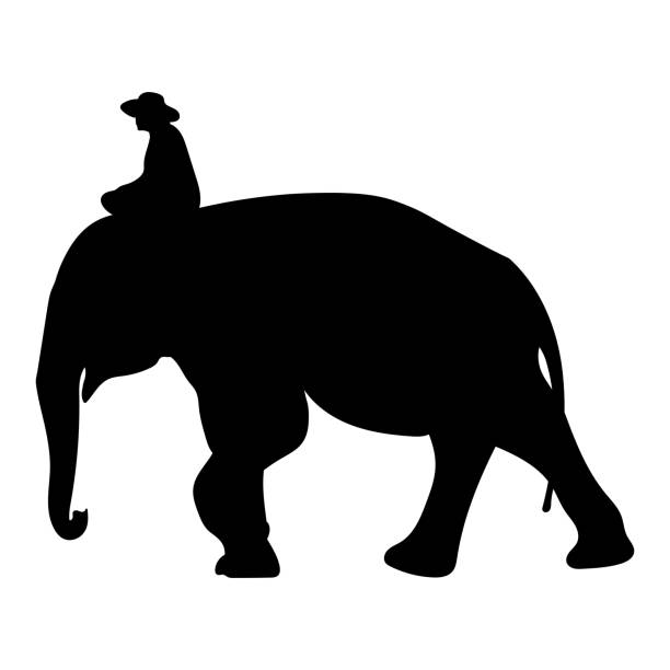 istock Black elephant with Elephant mahout silhouette Asia walking, graphics design vector outline 1195540849