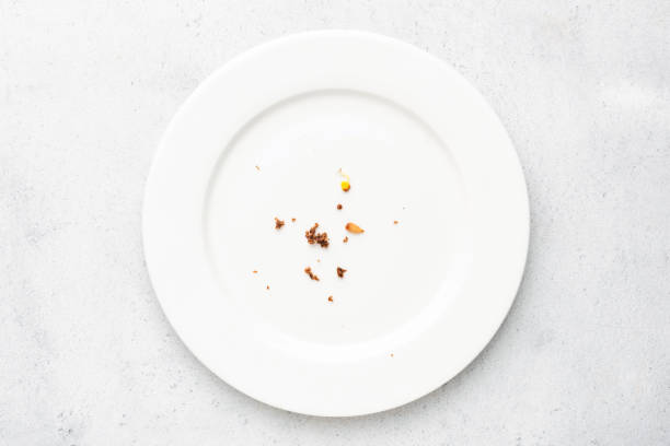 plate with crumbs leftovers - dirt food plate fork imagens e fotografias de stock