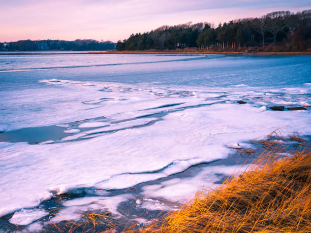 l'eau de l'océan commence à geler près de la côte en hiver - frozen cold lake reed photos et images de collection