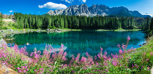 Panoramic beautiful view of Carezza lake with Latemar Mountain, Trentino-Alto Adige Region, Bolzano, Italy.