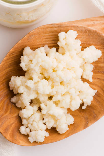 istock Milk kefir grains in spoon. Yeast bacterial fermentation starter 1195542861