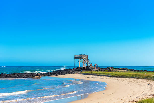 istock Observation tower on a sandy beach, Galapagos Island, Isla Isabela. Copy space for text. 1195543536