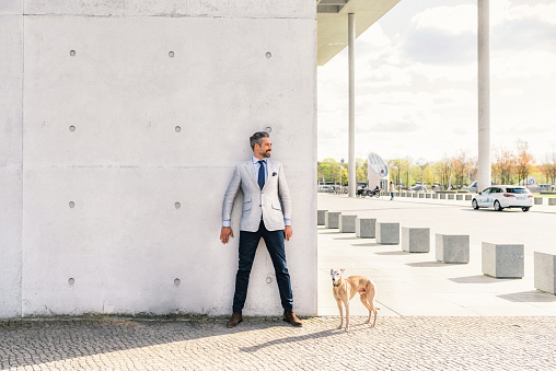 elegant bearded businessmen with dog hiding behind concrete wall in the shadow