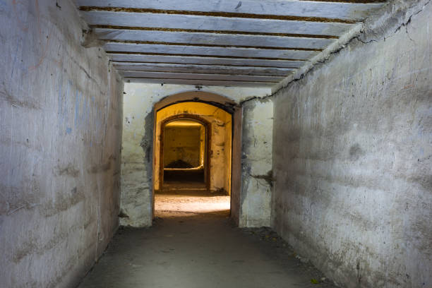 istock ukraine, tarakanov fortress ruin 1195544358