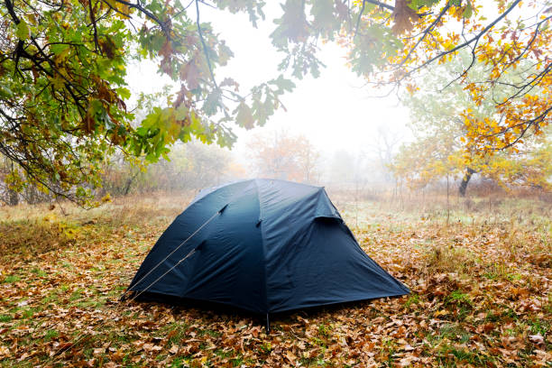 istock closeup touristic tent in a wet autumn forest 1195544491