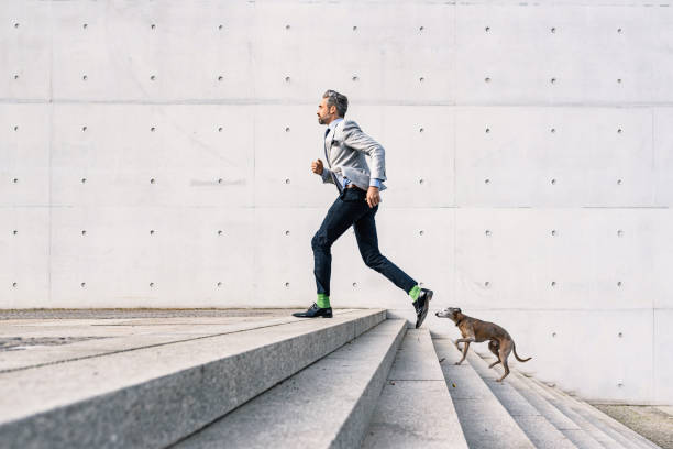 empresario corriendo por las escaleras con perro al aire libre - staircase running moving up jogging fotografías e imágenes de stock