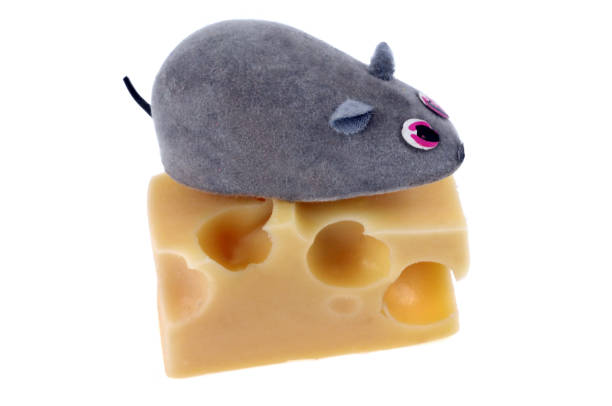 Eine kleine Maus in der Farbe Rosa.