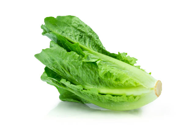 istock Fresh green Lettuce leaves, Salad leaf isolated on white background. with clipping path. 1195550417
