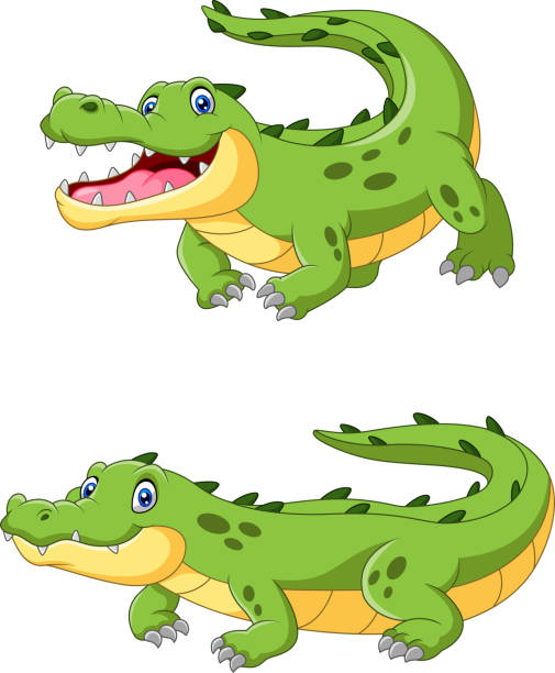 Happy Cartoon Crocodile Are Creeping Stock Illustration - Download Image  Now - Crocodile, Smiling, Africa - iStock