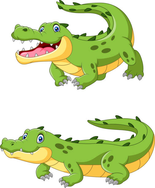 Happy Cartoon Crocodile Are Creeping Stock Illustration - Download Image Now - Crocodile, Smiling, Africa - iStock Happy Cartoon Crocodile Are Creeping Stock Illustration - Download Image Now - Crocodile, Smiling, Africa - iStock