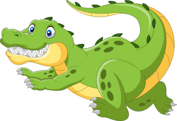 Ilustración de Feliz Cocodrilo De Dibujos Animados Corriendo Rápido y más Vectores Libres de Derechos de Correr - iStock Ilustración de Feliz Cocodrilo De Dibujos Animados Corriendo Rápido y más Vectores Libres de Derechos de Correr - iStock