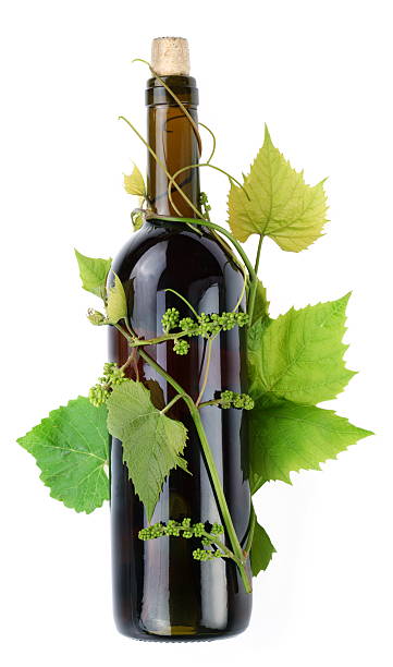 istock Bottle of wine in the vine. 119555178