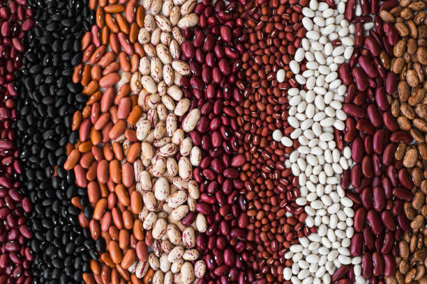 istock Different varieties of bean seeds. Beans background. 1195553541
