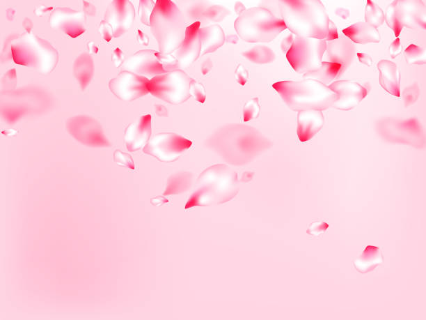 istock Japanese cherry blossom pink flying petals 1195554593