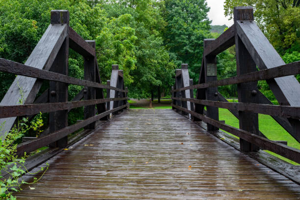 istock A Wooden Bridge in the Forest 1195555734