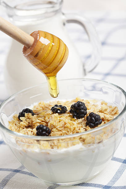 istock Breakfast with yogurt, muesli, blackberry, and honey 119555582