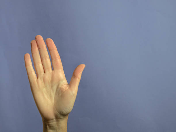 istock Hand with open palm in sign of stop with copy space 1195556193