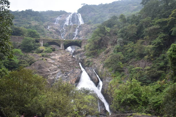 A View From A Distant Of A Dudhsagar Falls Stock Photo - Download Image Now - Falling, India, Train - Vehicle - iStock A View From A Distant Of A Dudhsagar Falls Stock Photo - Download Image Now - Falling, India, Train - Vehicle - iStock