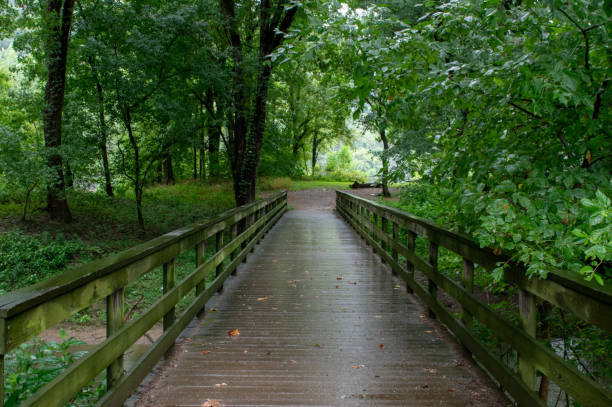 istock Wooden Bridge in the Forest 1195557851