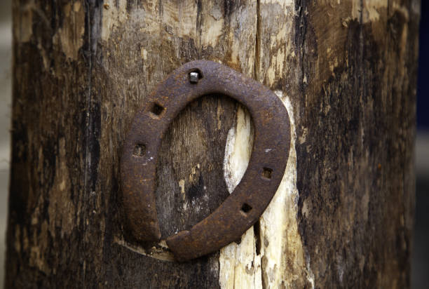 eisenhufeisen - horseshoe horseshoes old rusty stock-fotos und bilder