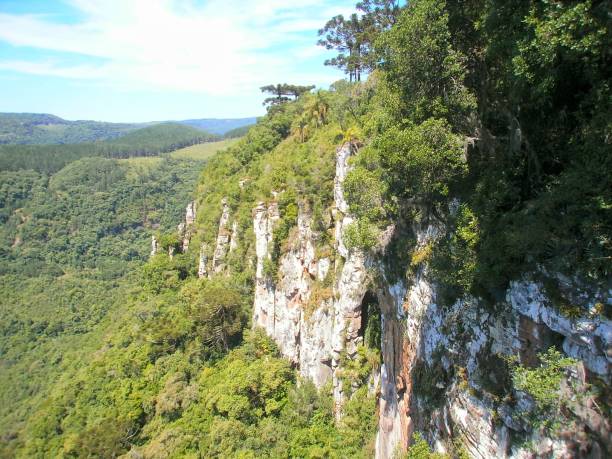 istock Brazil natural park 1195560654