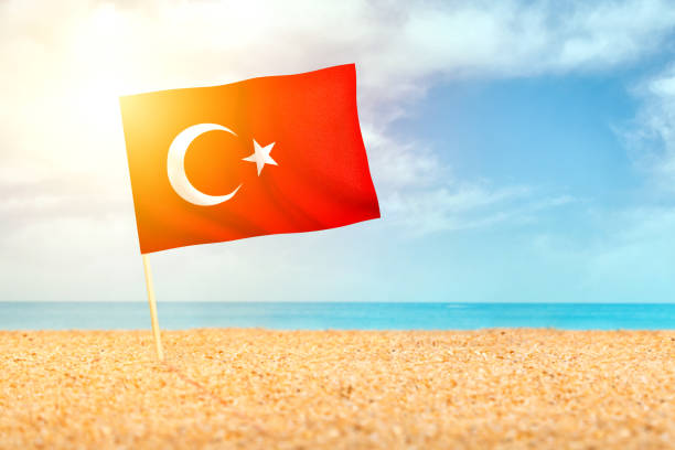 istock Turkish flag waving in the sand on the beach 1195561404