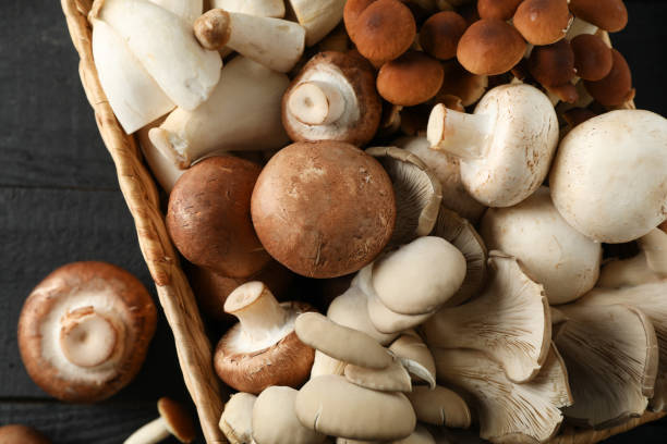istock Different mushrooms in basket on wooden background, close up 1195561721