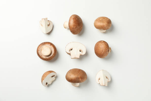 istock Flat lay with mushroom mushrooms on white background, space for text 1195561784