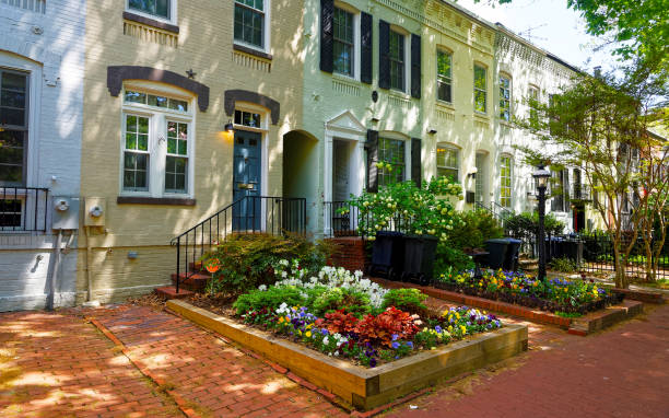istock White buildings on streets of Washington DC reflex 1195565966