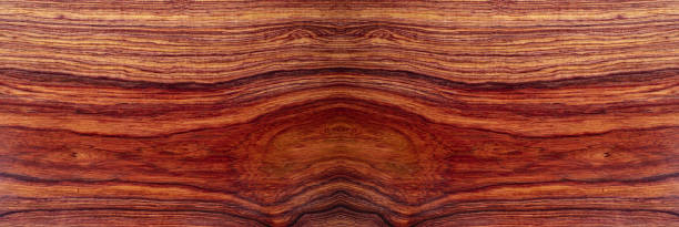 istock Nature Burmese rosewood 1195567060