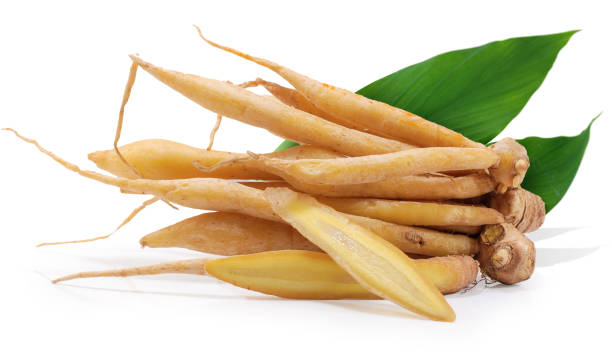 Finger root isolated on white background Finger root isolated on white background rotunda photos stock pictures, royalty-free photos & images