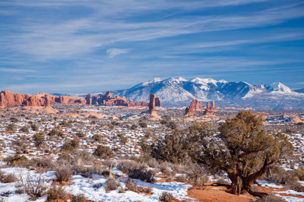 Winter in Arches National Park Snow covered Arches and La Sal mountains in the background la sal mountains stock pictures, royalty-free photos & images