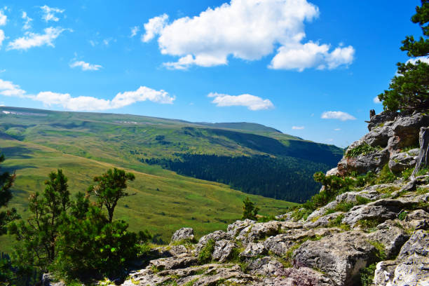 istock Picturesque mountains, meadows, green pines on the cliff side. 1195572268